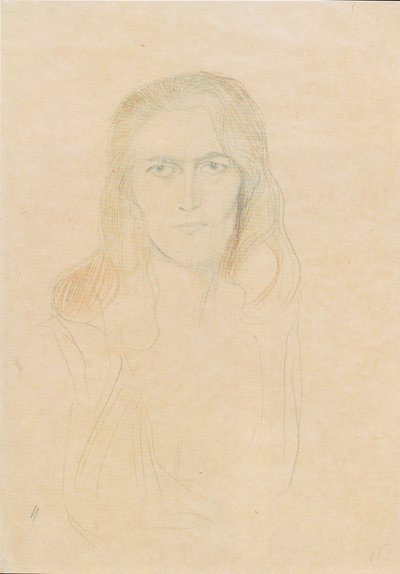 Önden bir kadının yarım boy portresi (Erinnye) by Gustav Klimt